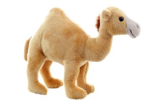 Obrázek z Dromedár plyš 20cm (6) 